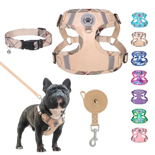 BEAUTYZOO Step in Dog Harness Collar and Leash Set for Small Medium Large Dogs, No Pull No Choke Puppy Harness, Soft Mesh ...