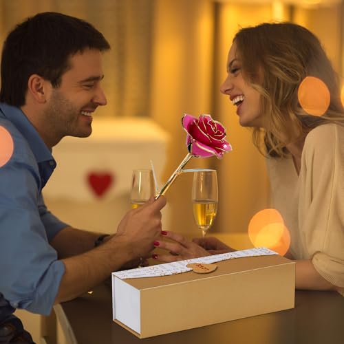 Mikasol Gold Dipped Real 24K Forever Preserved Rose, 1 Pack Infinity Flower Decor Hand Dipped Romantic Gift for Women in H...