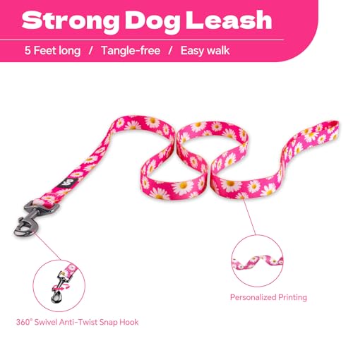 QQPETS Dog Harness Leash Set Adjustable Heavy Duty No Pull Halter Harnesses for Small Medium Large Breed Dogs Back Clip An...