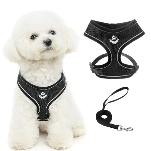 PUPTECK Soft Mesh Dog Harness and Leash Set Pet Puppy Cat Comfort Padded Vest No Pull Harnesses