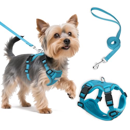 Ychpaw Small Dog Harness and Leash Set, Reflective Soft Breathable Mesh Vest, 3 Buckles, Adjustable Neck and Chest,Step in...