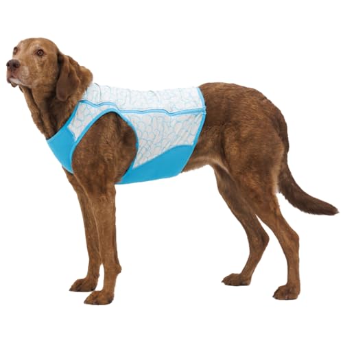 Ruffwear, Swamp Cooler Zip Dog Vest, Evaporative Cooling for Hot Weather, Graphite Gray, X-Large