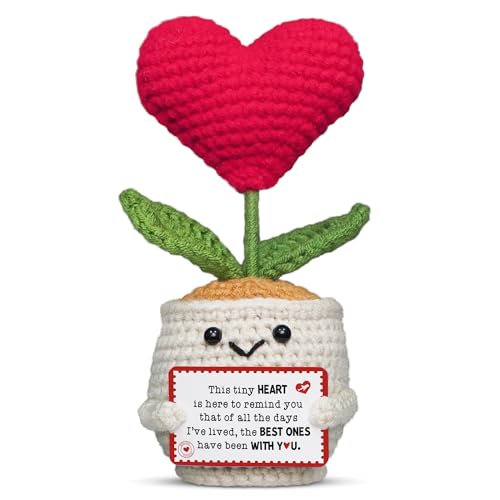 OASSIE Anniversary Couple Gifts for Women Men - Heart Flower Pot Crochet - Romantic Anniversary Wedding Mothers Day Birthd...