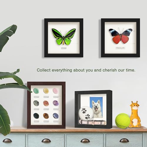 FrameWorks 11” x 11” Natural Oak Wooden Shadow Box Frame – Display Case with Soft Felt Back, Memory Box with Tempered Glas...