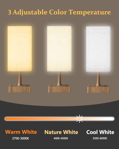 FARRIDE Light Therapy Lamp 10000 Lux Sun Lamp with 3 Color Temperatures, Adjustable Brightness, 4 Timer & Memory Function,...