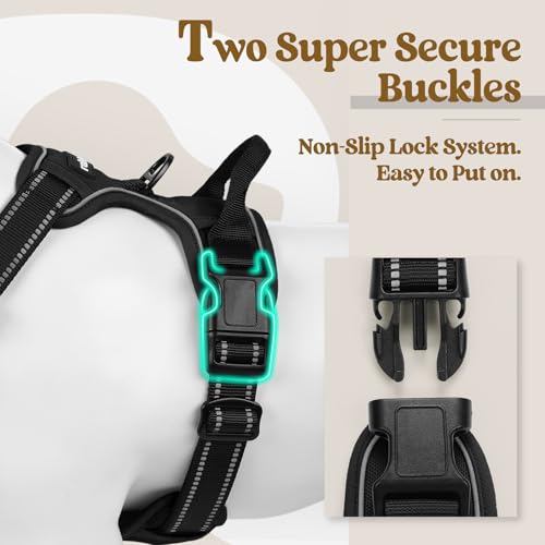 rabbitgoo Dog Harness No Pull with 2 Leash Clips, Adjustable Soft Padded, Reflective Oxford No Choke Pet Vest with Easy Co...
