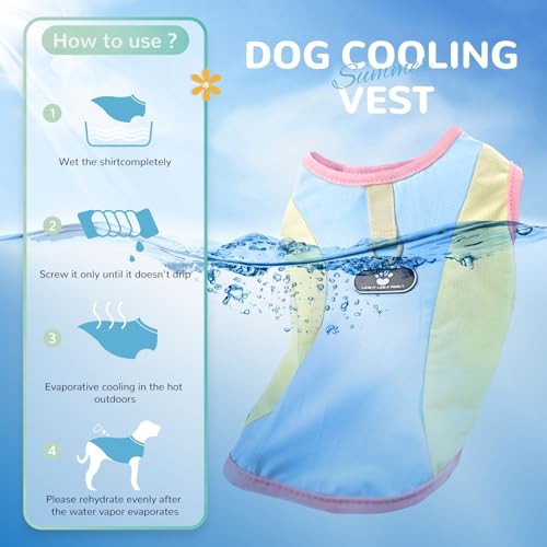 AXIIJGL Dog Cooling Vest with D-Ring Dog Tshirt Sun Protection Small Puppy Clothes for Girls Boys Stretchy Shirts for Dogs...