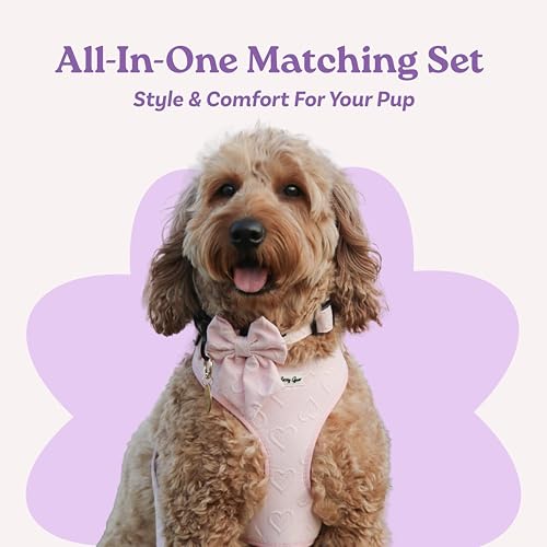 Small Dog Harness Set – Cute No Pull, All Weather, Breathable Harness and Leash Set with Collar, Bandana, Sailor Bow & Poo...