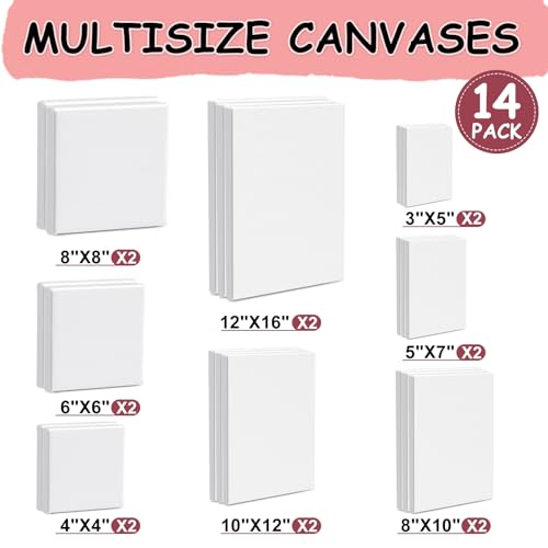 14 Packs Stretched Canvas for Painting, MultiSize 12x16, 10x12, 8x10, 5x7, 8x8, 6x6, 4x4 (2 of Each), Primed Blank Canvas ...