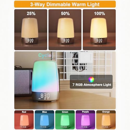 winshine Touch Wake Up Night Light with Sunrise Simulation Alarm Clock, 3 Ways Dimmable Warm White Bedside Lamp for Kid Be...
