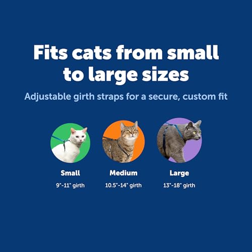 PetSafe Come With Me Kitty Cat Harness & Bungee Leash - Comfortable Cat Harness with Lightweight Bungee Leash for Outdoor ...