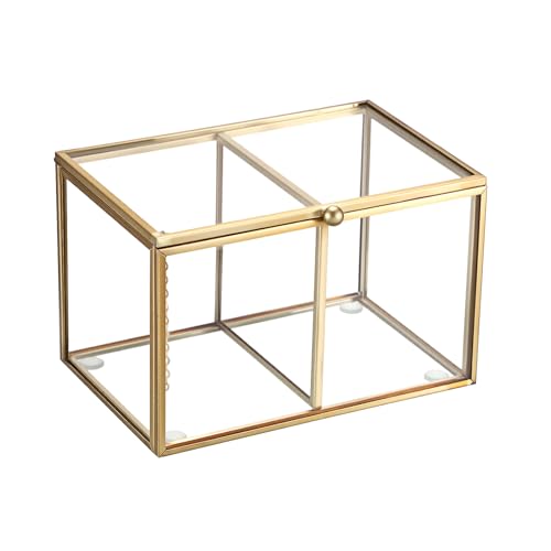 Hipiwe 2 Slots Glass Qtip Holder Gold Q-tip Storage Box with Lid Bathroom Accessories Container for Cotton Balls Cotton Sw...