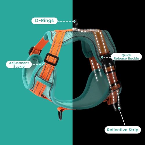 PAWDAY No-Pull Dog Harness with Dog Leash Breathable Mesh Adjustable Soft Padded Pet Vest Reflective for Small/Medium/Larg...