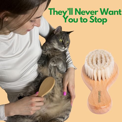 GranNaturals Boar Bristle Soft Cat Brush for Indoor, Outdoor, Short Haired Cats, Kittens, Small Dog, Rabbit, Furry Pets - ...