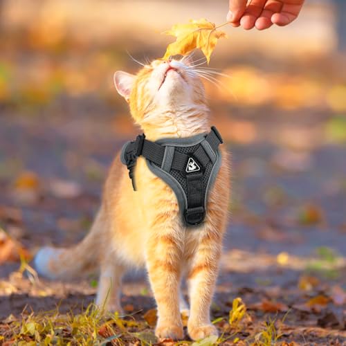 Cat Harness and Leash for Walking Soft Cat Harness Escape Proof, Adjustable Kitten Harness Cat Leash Reflective Strips Jac...