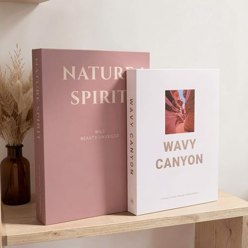 MAOBUYOU Elegant Decorative Books - Set of 2 Stylish Fake/FauxBook Boxes for Coffee Table, Bookshelf and Mantel Decor, Mod...