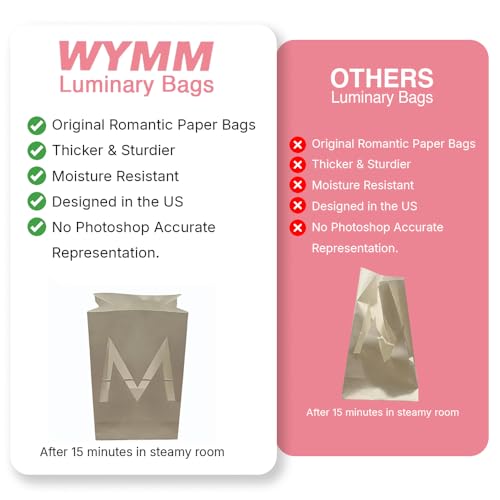WYMM I Love You Light Up Letters with 30 Tea Lights Candles and 1000 Red & Pink Rose Petals - Luminary Bags for Anniversar...