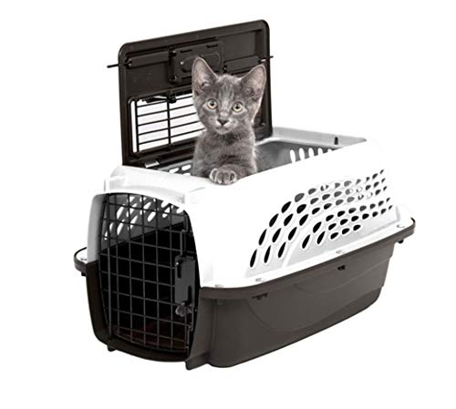Petmate Dog Crates for Small Dogs & Cat Carriers, Two-Door Plastic Pet Kennel, Top & Front Loading, Made in USA, 19", White