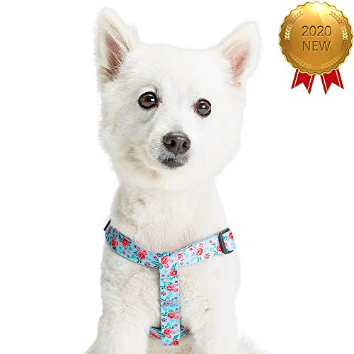 Blueberry Pet Essentials Step-in Spring Scent Inspired Garden Floral Dog Harness in Pastel Blue, Chest Girth 16.5" - 21....