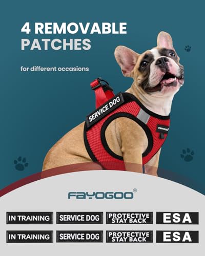 FAYOGOO Service Dog Vest for Small Dogs - Lightweight Dog Harness with 6PCS Removable Patches - Puppy Harness and Leash Se...