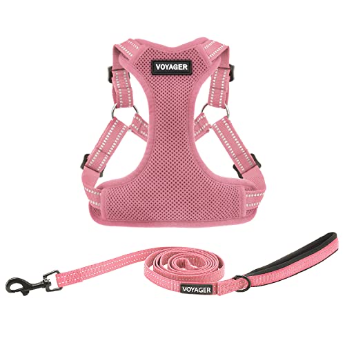 Best Pet Supplies Voyager Adjustable Step-in Flex Breathable Mesh Dog Harness for Small Medium Large Dogs Leash Set (Pink), S