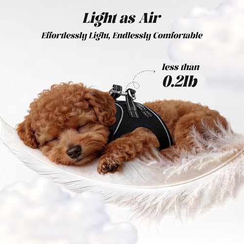 YIMEIS Dog Harness and Leash Set, No Pull Soft Mesh Pet Harness, Reflective Adjustable Puppy Vest for Small Medium Large D...