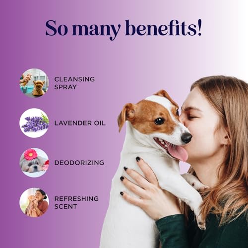 Lavender Oil Dog Deodorizing Spray - Dog Spray for Smelly Dogs and Puppies and Dog Calming Spray with Lavender Essential O...