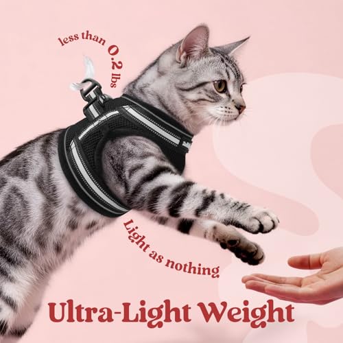 rabbitgoo Cat Harness and Leash Set for Walking Escape Proof, Adjustable Soft Kittens Vest with Reflective Strip for Cats,...