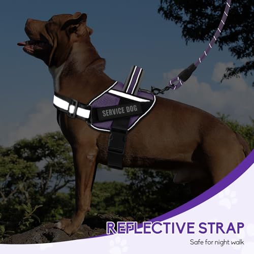 Animire Service Dog Harness and Leash Set, XS, Purple, with 10 Patches, Reflective, for Small Dogs