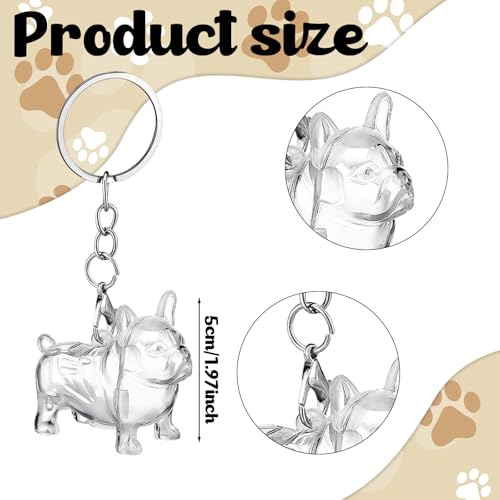 Nosiny 3 Pcs Dog Hair Collector Keychain Charm Memorial Storage Box Plastic Pet Fur Holder Keyring Cute Dog Hair Keepsake ...
