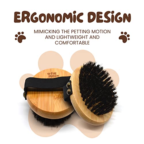 The Buddy System Pet Close Brush, Soft Touch Oval Palm Brush - Bamboo Massage Handheld with Soft Boar Bristles and Elastic...