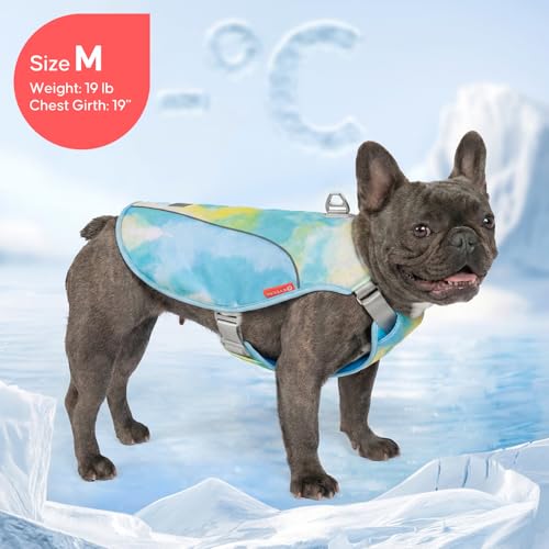 KYEESE Dog Cooling Vest, Breathable Mesh Dog Cooling Shirt for Small Dogs with D-Ring, Sun Protection Reflective Dogs Cool...