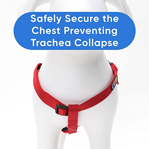 Pawtitas Solid Step-in Dog Harness – Adjustable No-Pull Vest for Puppies to Seniors, Safe & Comfortable XS Red