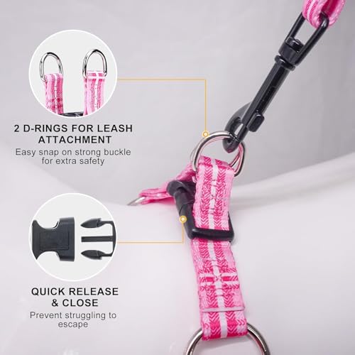 BEAUTYZOO Dog Harness Small Sized Dog Girl, No Pull Dog Harness and Leash Set,Step in Soft Light Puppy Vest, No Choke Heav...