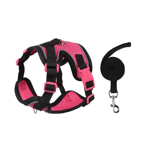Muejjur Cat Harness and Leash Set for Walking – Escape-Proof Reflective Vest for Cats and Small Dogs, Adjustable Soft Air ...