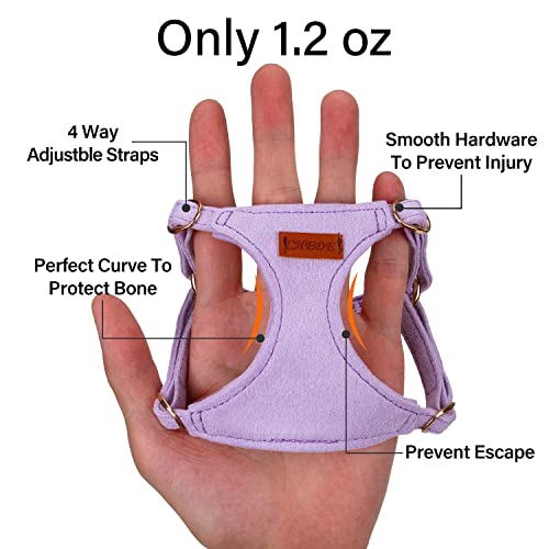 CHEDE No Pull Puppy Harness and Multifunction Dog Leash Set- 8 Colors Soft Adjustable No Choke Escape Proof Cute,Lightweig...