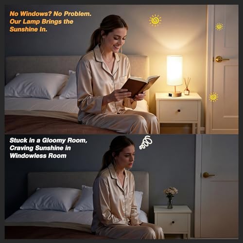 Dicoool Light Therapy Lamp 10000 Lux, Happy Light CRI>95 Sun Lamp with Remote, 3 Color Temperatures & Stepless Dimming, Su...