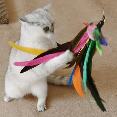 miwoowim Cat Toys Interactive for Indoor Cats, 2PCS Ultra-Long Teaser(50"+38")+9PCS Da Bird Feather Refills, Fishing Pole ...