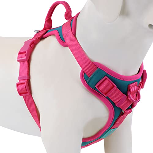 Wolfone No Pull Dog Harness Adjustable Soft Padded Pet Vest with Control Handle Adorable Daily Harness for Dogs（Viridian G...