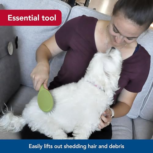 Coastal Pet Safari Wire Pin Brush - No-Slip Plastic Handle for Short and Long Pet Hair - 9.25" x 2.5" Compatible Grooming ...