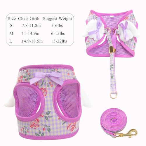 Dog Harness and Leash Set with Angle Wings,Pet Adjustable Mesh Vest Harness with Wings and Bow for Small Medium Dogs Cats_...