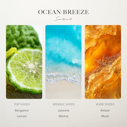 Scentiment Ocean Breeze Fragrance Oil – Bergamot, Lemon, Jasmine with Marine & Amber Scent for Diffusers (500ml)