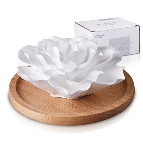 Passive Essential Oil Diffuser,Aromatherapy Passive Mini Ceramic Essential Oil Small Diffuser for Desk Office Home Gift (R...