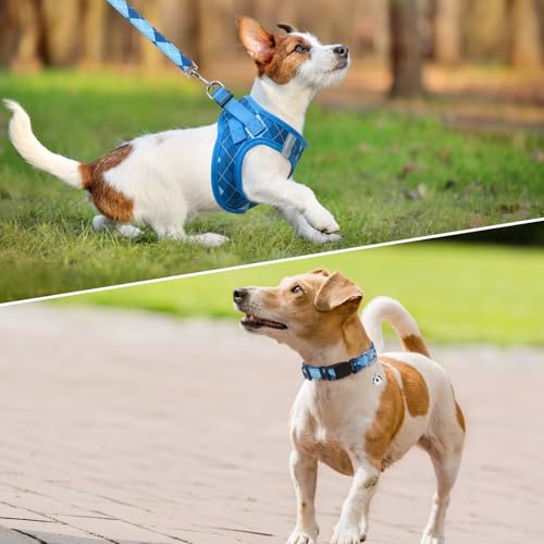 SCENEREAL Small Dog Harness and Leash Collar Set, Step in No Pull Soft Mesh Dog Harnesses for Small Medium Sized Dogs Pupp...