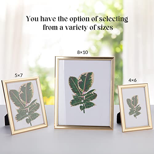 euwazram 8x10 Picture Frame - Set of 5, Matte Gold 8 x 10 Photo Frame with High-Definition Glass, Modern 8x10 frame for Ta...