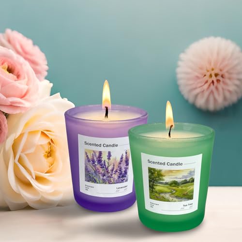Scented Candles Gift Set of 6 Pack, Glass Jar Candles for 6 Scented, Long Lasting Soy Wax Aromatherapy Candle Set, Best Gi...