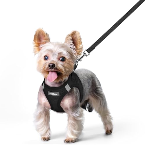 rabbitgoo Dog Harness Small Sized and Leash Set, Step in Soft Light Puppy Vest, Breathable Mesh Pet Harness, Reflective fo...