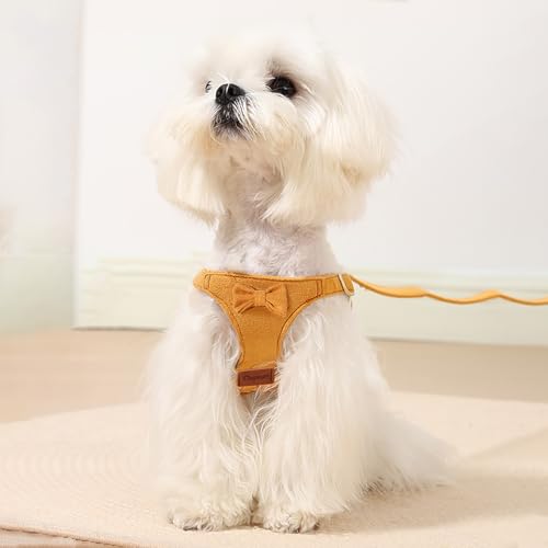 Vinqki Cute Small Dog Harness and Leash Puppy Set with Bowtie,Step in Dog Harnesses,Soft Adjustable Cat & Dog Vest,Harness...