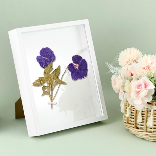 QWORK 8 x 10in Shadow Box Picture Frames - MDF Wood with Acrylic Front, 3 Pack Square Shadow Boxes Display Cases for Photo...