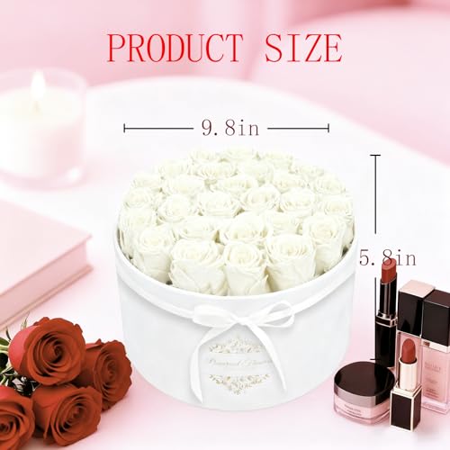27 Forever Flowers in a Luxury Suede Box, Preserved Roses Birthday Gifts for Women, Romantic Anniversary Wedding Gifts for...